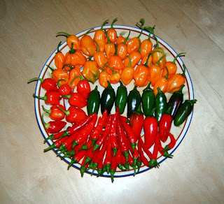 peppers083107.jpg