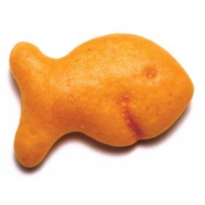 Can-I-give-my-baby-Goldfish-crackers.jpg