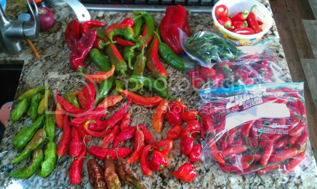 peppers-2.jpg