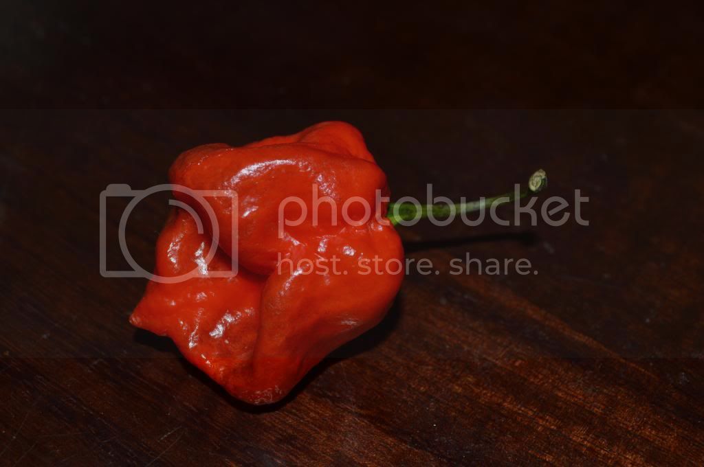 peppers025.jpg
