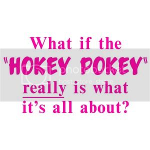 what-if-the-hokey-pokey-really-is-what-it-s-all-about1_zps5a2c27b8.jpg