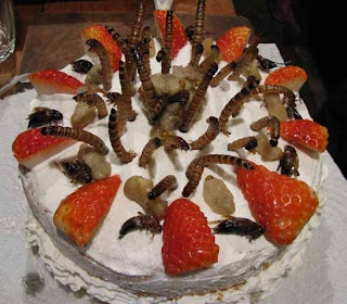 insect-cake.jpg