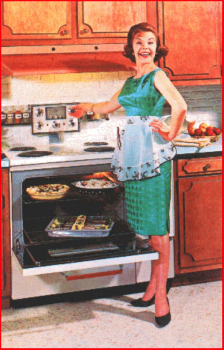 50s-housewife-all-mod-cons.jpg
