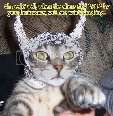 Cat-With-Tin-Foil-Hat.jpg