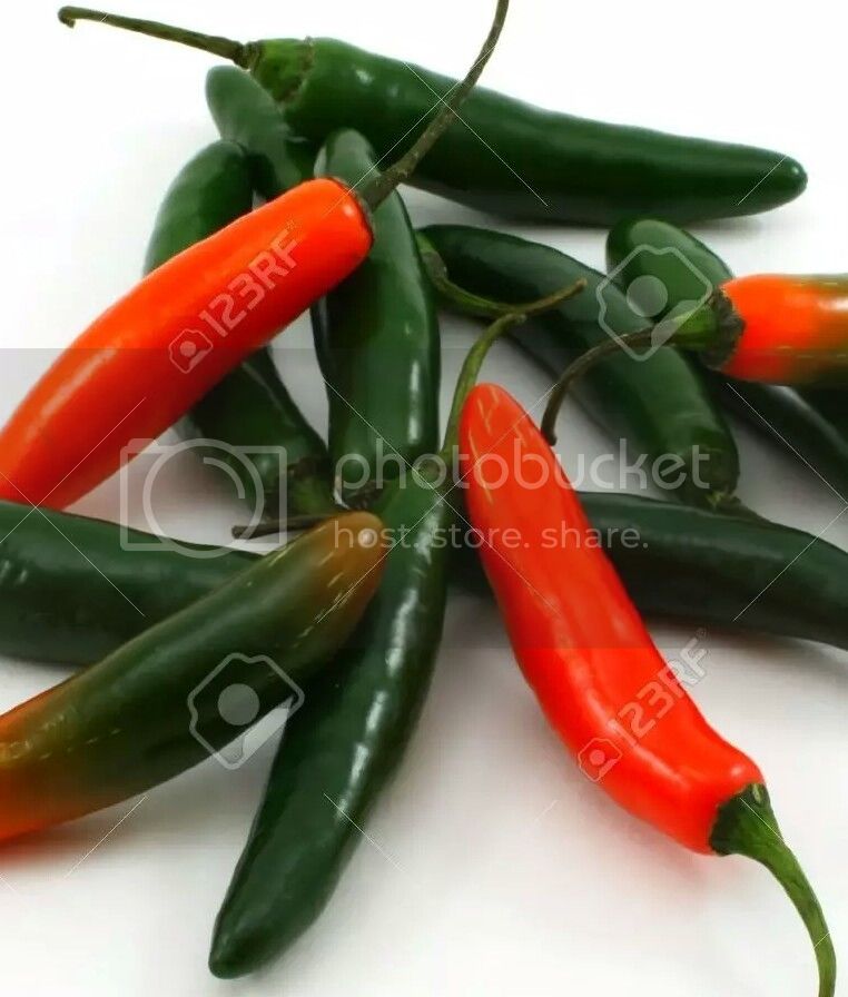6057341-Bunch-of-serrano-peppers-Capsicum-annuum-Stock-Photo-1_zpshbquwprc.jpg