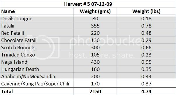 Harvest507-12-09.jpg