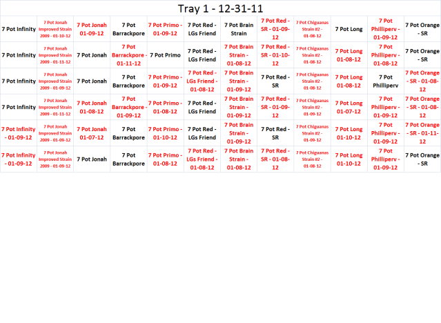 Tray101-11-12.png