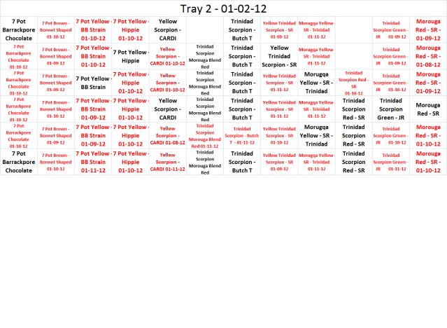 Tray201-11-12.png