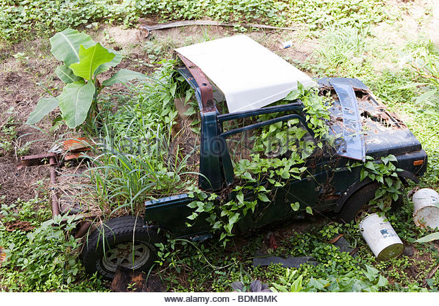 an-abandoned-car-with-plants-growing-out-of-it-on-rarotonga-in-the-bdmbmk.jpg