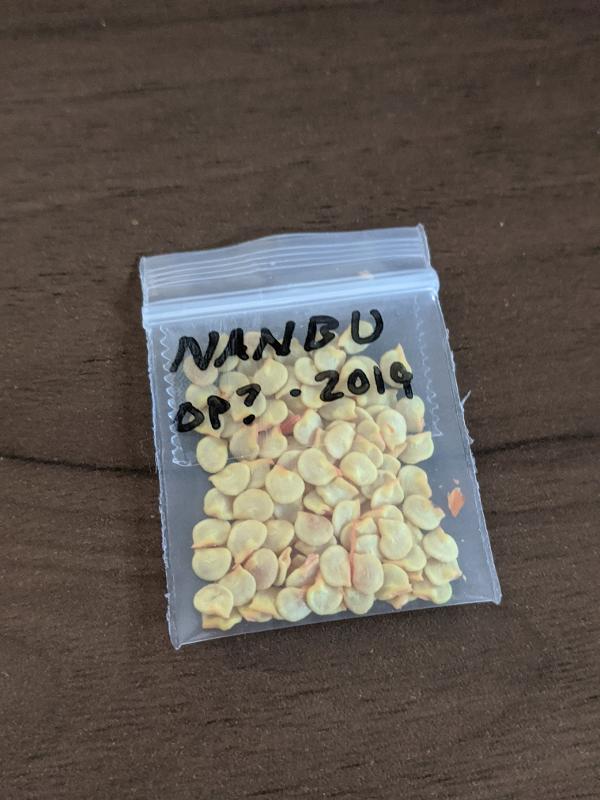 nanbu-seeds.jpg