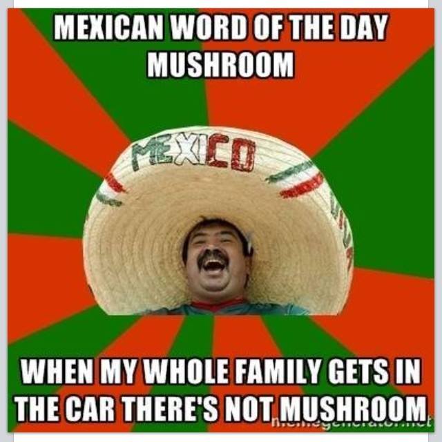mexican_word_of_the_day_is_mushroom._6632493780.jpg