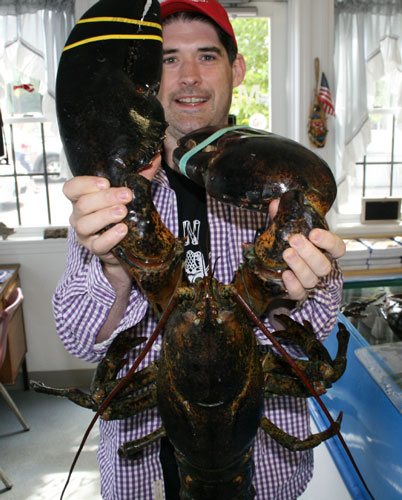 One_Big_Lobster.jpg