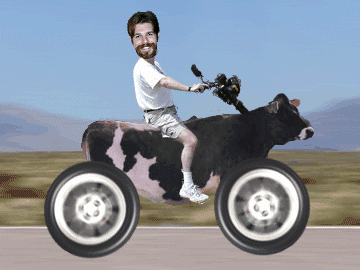 passow-cow-cycle.gif