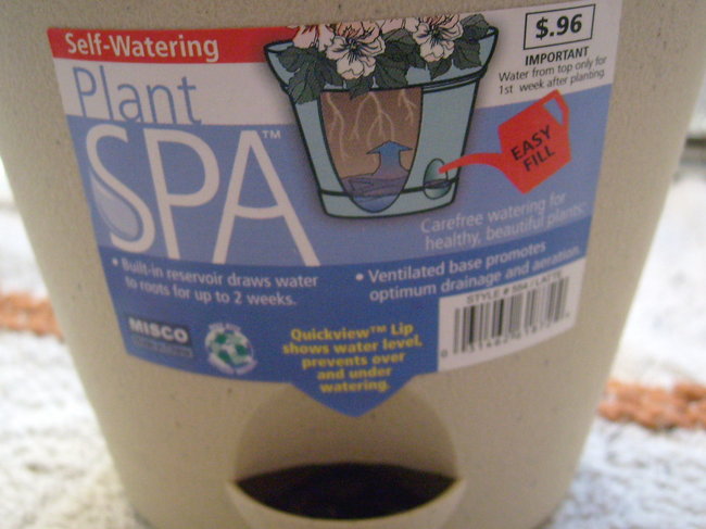 plant-spa-pot.jpg