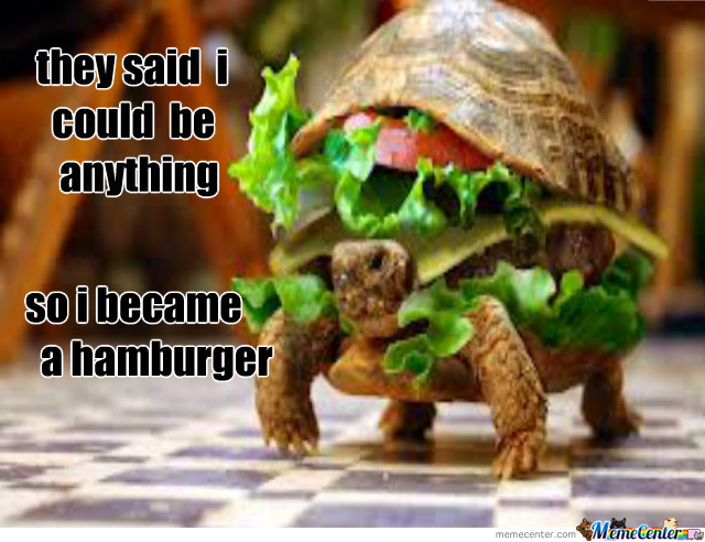 hamburger-turtle_o_1473695.jpg