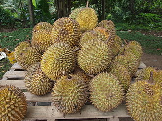 330px-Durian.jpg