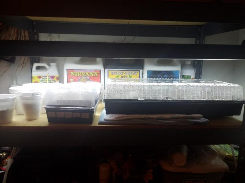 20190130_232435-1032x774.jpg