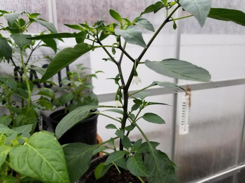 20190414_155016.jpg