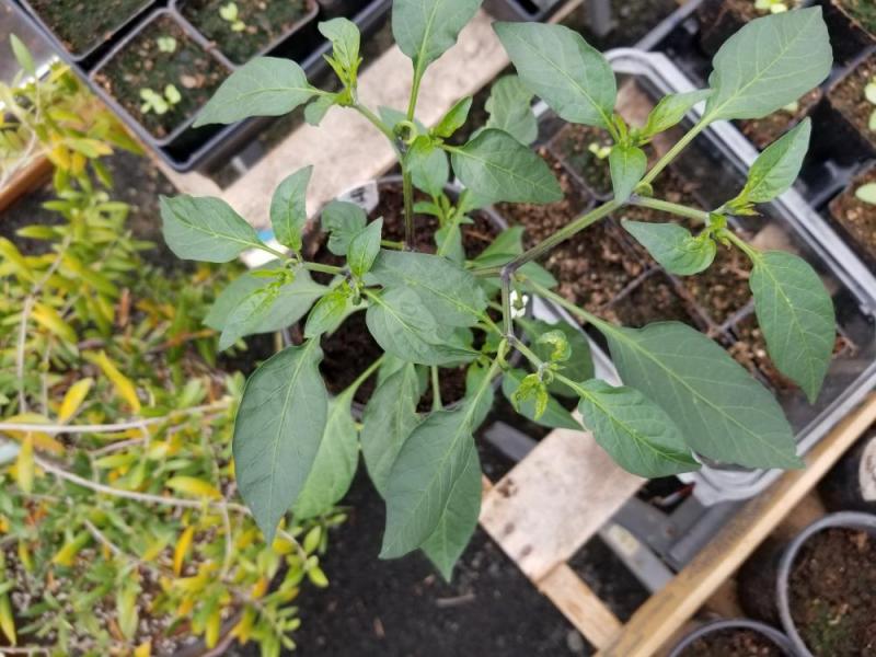 20190414_155120.jpg