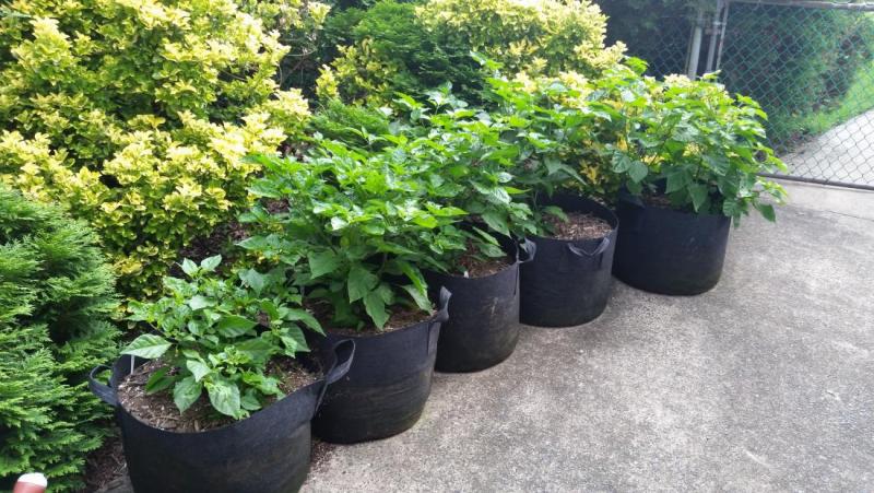 20150717_082234.jpg