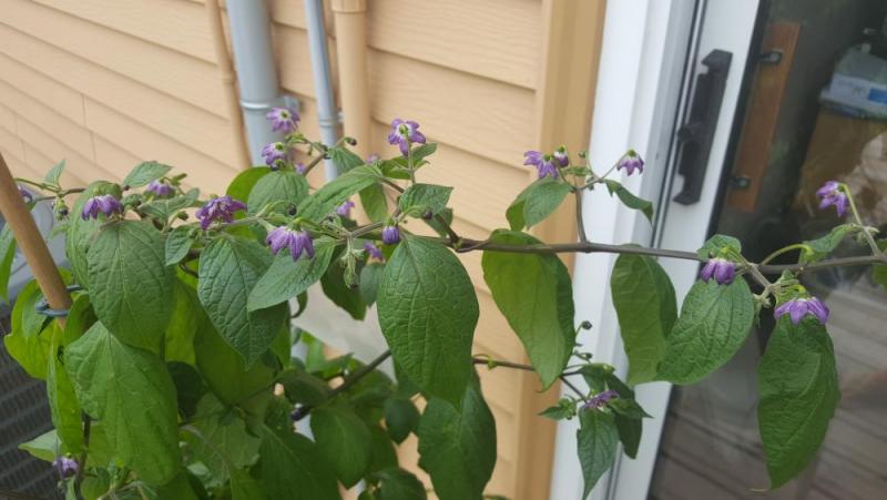 20190720_102207.jpg