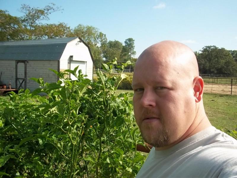 oct garden8.jpg