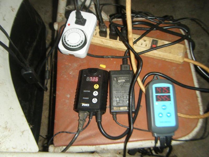 DSCF001144.JPG