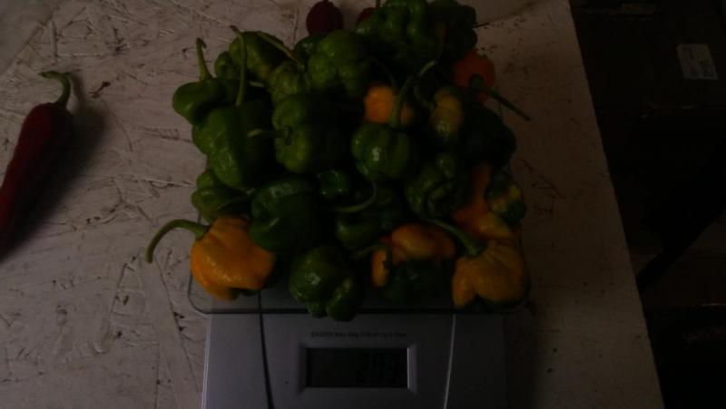 20181109_201228.jpg