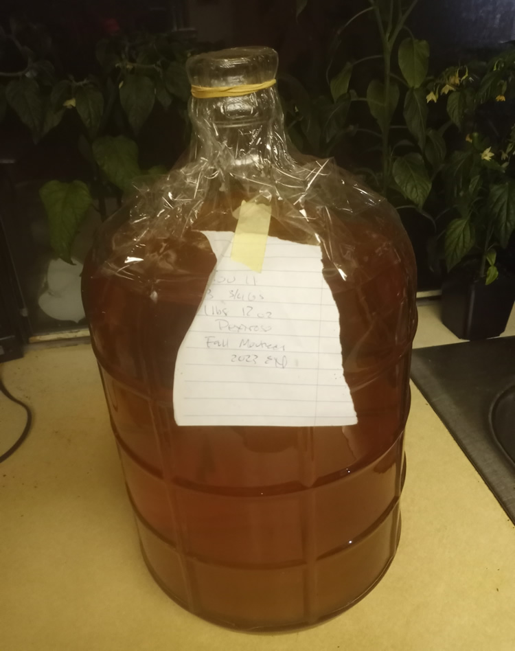 20250513 CiderCarboy.jpg