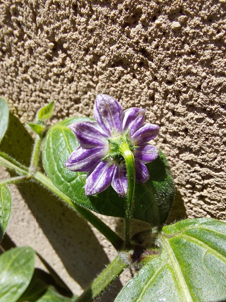20250518_123951.jpg