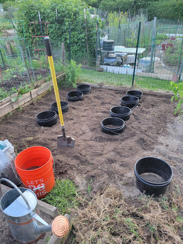 20250602 WestPlotN.jpg