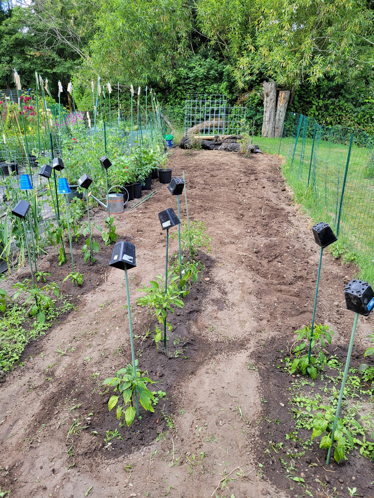 20250614 EastPlot.jpg