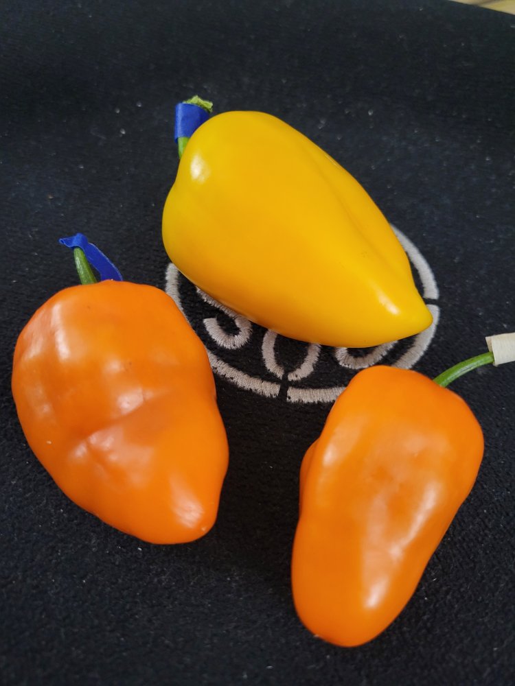 20250621 RipeSPOrange&LesyaO.jpg