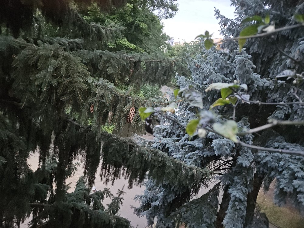 20250706_210921.jpg