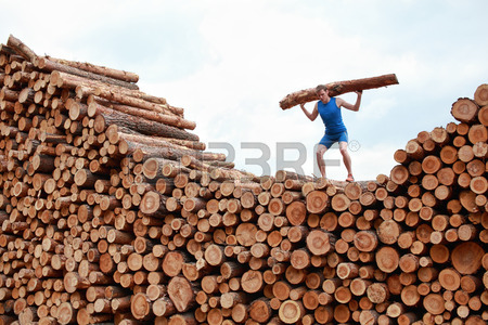 26024833-man-on-top-of-large-pile-of-logs-lifting-heavy-log--training.jpg