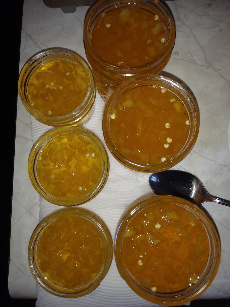 9-22-24 Sugar Rush Peach Jelly 2.jpg