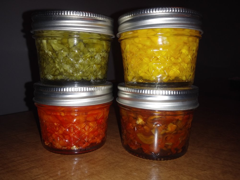 9-3-24 Pickled Peppers.jpg