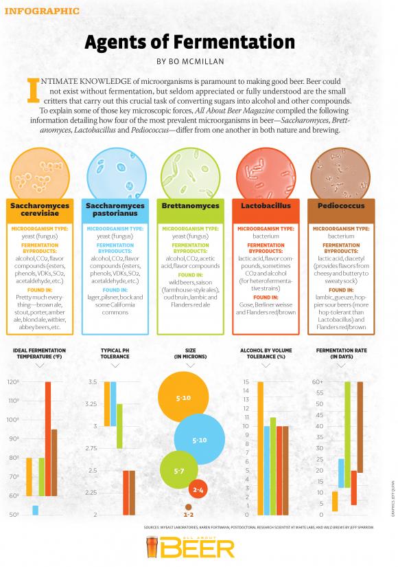 agents-of-fermentation-infographic.jpg