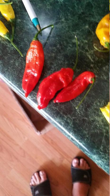 bhut.jpg