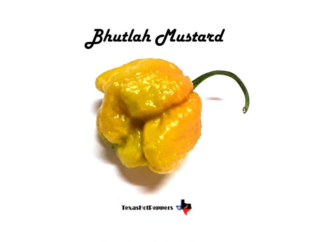 Bhutlah Mustard.jpg
