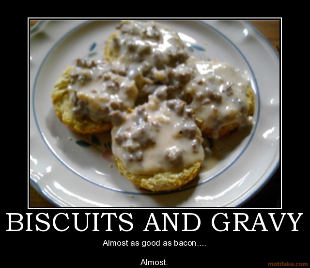 biscuits-and-gravy-it-s-still-a-wonderfull-hangover-cure-demotivational-poster-1258309025.jpg