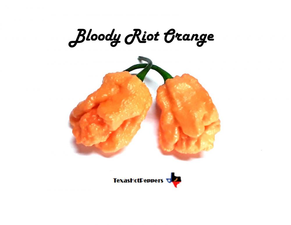 Bloody Riot Orange.jpg