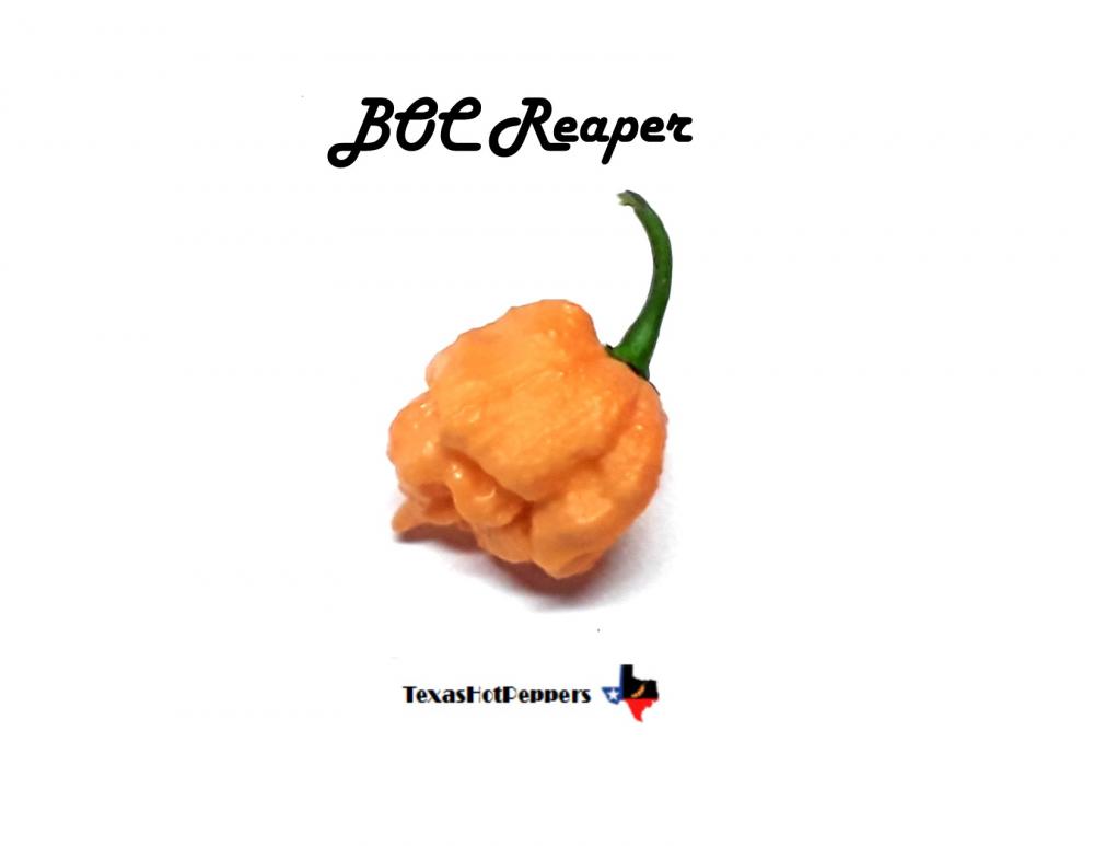 BOC Reaper.jpg