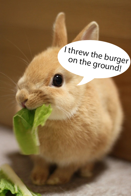 bunny_lettuce.jpg