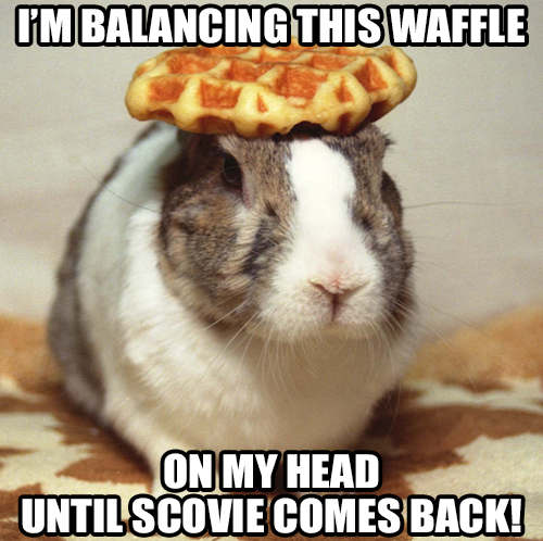 bunny_waffle.jpg