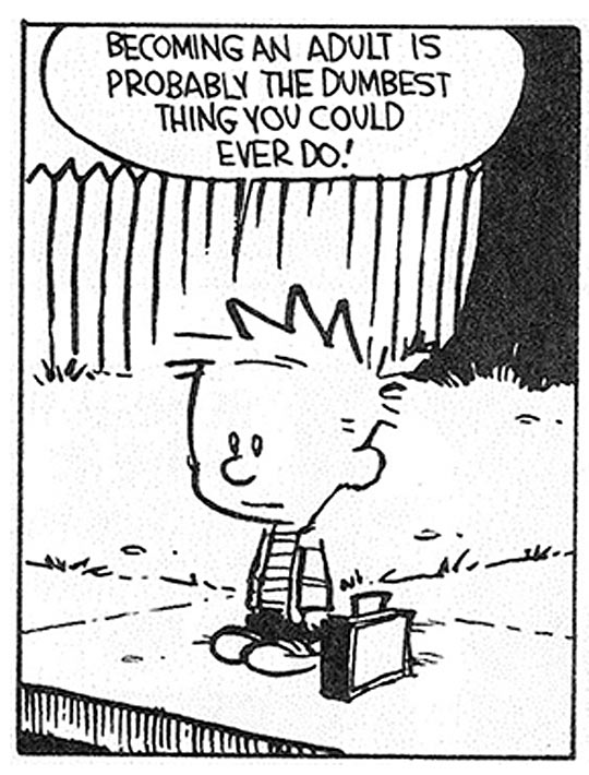 Calvin-Hobbes.jpg
