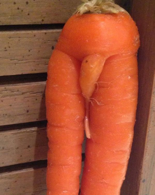 carrot_penis2.jpg