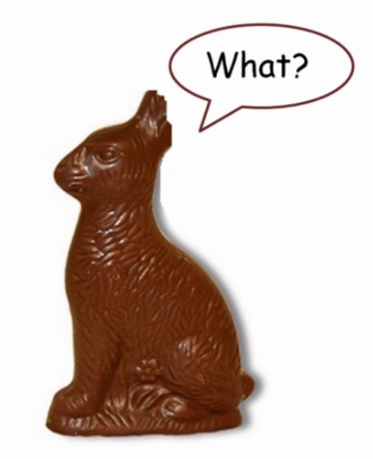 chocolate_easter_bunny_what_card-rdd6790b0d45a4d5b8137a58aca53bf6c_xw03z_1024.jpg