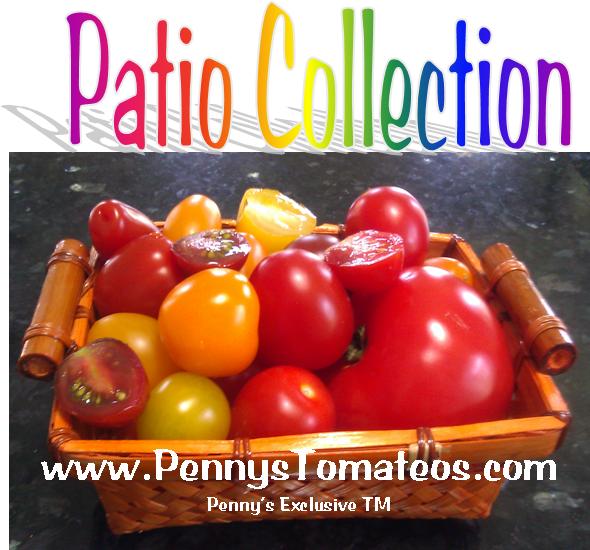 collections PatioCollectionTM.jpg