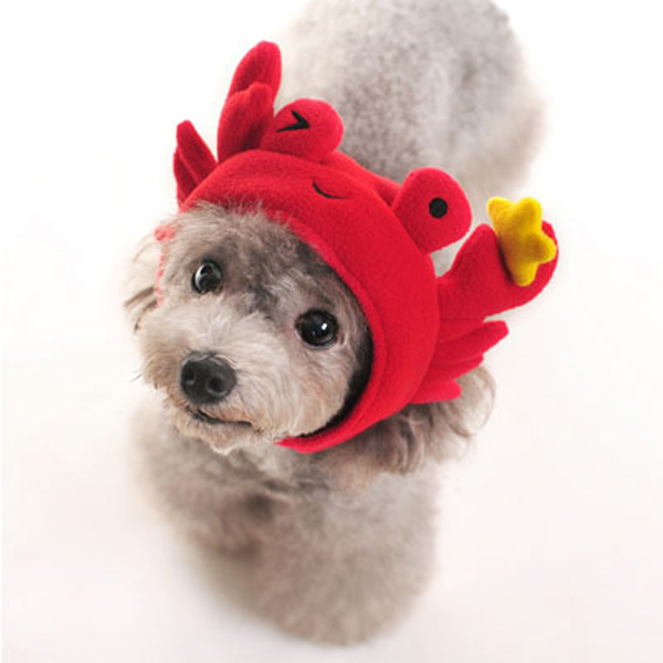 crab_dog.jpg